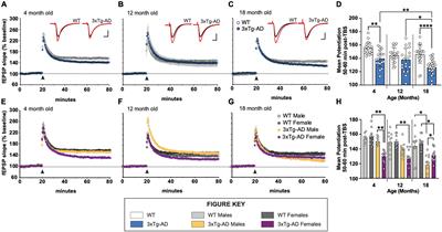 Systematic Phenotyping and Characterization of the 3xTg-AD Mouse Model of Alzheimer’s Disease